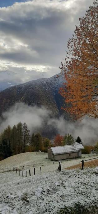Graziosa, Casetta In Valgerola Rasura Екстериор снимка